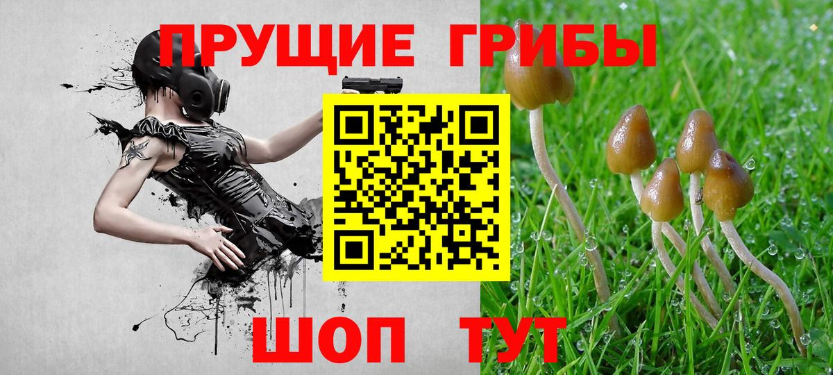 Галлюциногенные грибы Cubensis Нижний Тагил